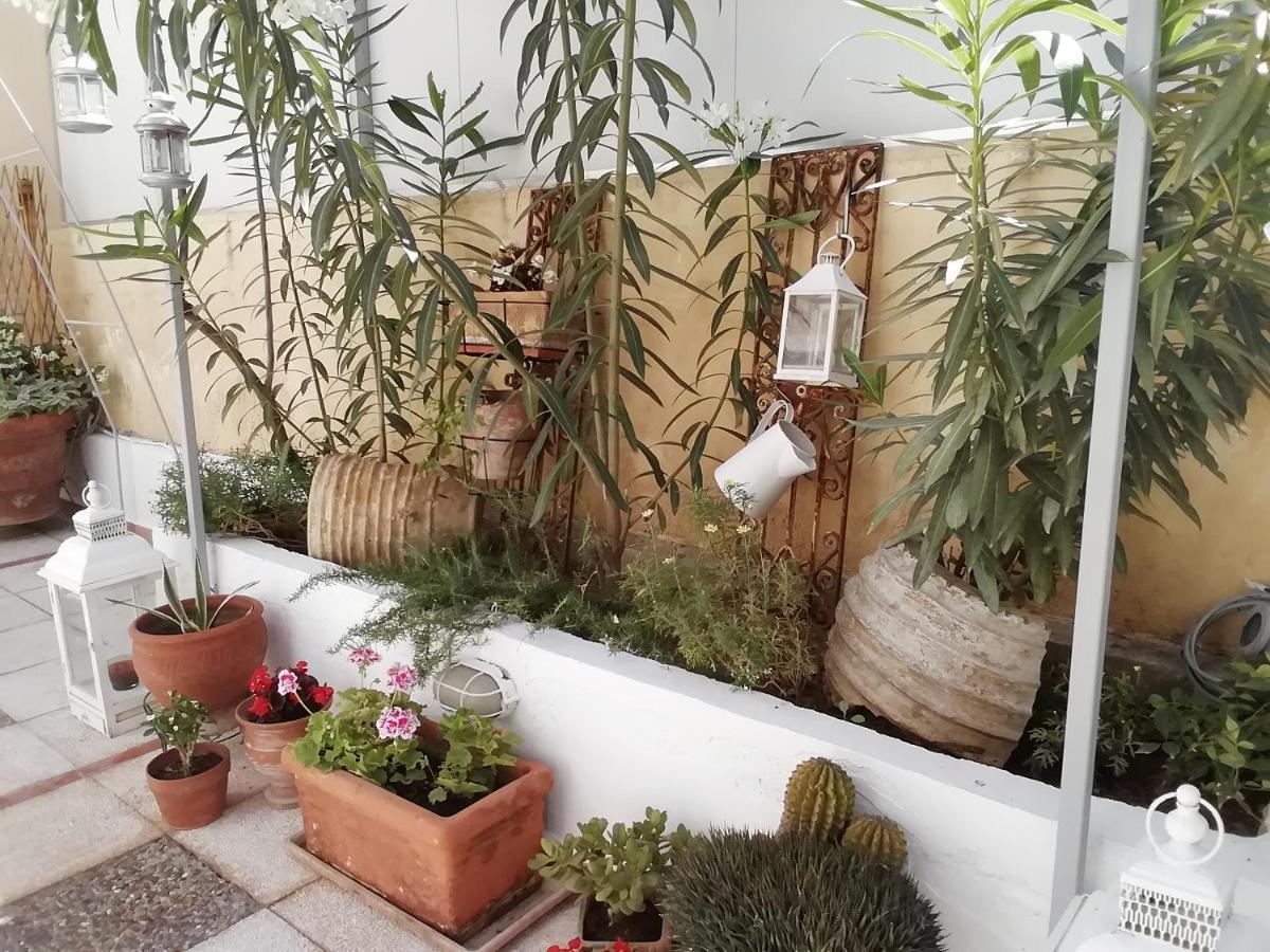 Amazing Semi-Basement Art Apartment Easy Walk To Nafplio Centre 外观 照片